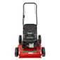 Cortador Grama Motor 6Cv Gasolina 4T Com Recolhedor Garthen GR-6000C