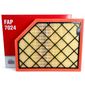 Filtro Ar Motor Wega Ford Ranger Raptor 3.0 V6 2024 FAP7024