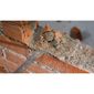 Talhadeira Bosch PRO SDS Max 25x400mm