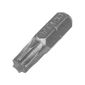 Ponteira Bits Torx T30 MTX 25mm Cartela 2pçs Ponteira Bits Torx T30 MTX 25mm Cartela 2pçs