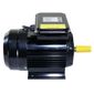 Motor Elétrico Lynus 2CV 127/220V Monofásico 1720RPM