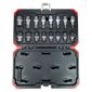 Jogo de Soquetes Gedore RED Torx E10-E24 T30-T70 1/2" 16pçs GR68003016