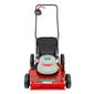 Cortador Grama Com Recolhedor 2200W 220V GR-2200C Garthen