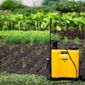 Pulverizador Manual Costal Tanque 20L PC 020 Vonder