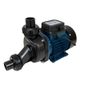 Motobomba Centrifuga Monoestágio Hidromassagem 3/4Cv 220V Eletroplás ECH 75I