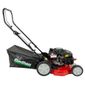 Cortador Grama Motor 6Cv Gasolina 4T Com Recolhedor Garthen GR-6000C