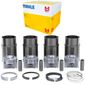 Kit Motor Camisa Pistão Anel Ae Cht 1.6 Gasolina