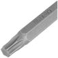 Ponteira Bits Torx T30 MTX 50mm Cartela 2pçs Ponteira Bits Torx T30 MTX 50mm Cartela 2pçs