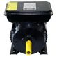 Motor Elétrico Lynus 2CV 127/220V Monofásico 3490RPM