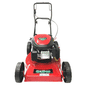 Cortador Grama Garthen Gasolina 6Cv 4T Com Recolhedor PRO-6000C
