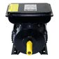 Motor Elétrico Lynus 2CV 127/220V Monofásico 1720RPM