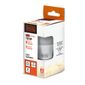 Lampada LED Bulbo A60 15W