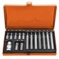 Jogo de Ponteiras Intercambiáveis Trafix (Torx)- 15 Peças Tramontina PRO 46000/402