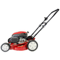 Cortador Grama Garthen Gasolina 6Cv 4T Sem Recolhedor PRO-6000S
