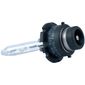 Lâmpada Xênon Série D2S 12V 4300K Tech One