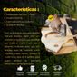 Caixa Com 1000 Grampos 9/16" Stanley