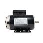 Motor Elétrico Lynus IP21 3CV 127/220V Monofásico 3460RPM