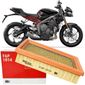 Filtro De Ar Linha Triumph