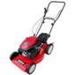 Cortador Grama Garthen Gasolina 6Cv 4T Sem Recolhedor PRO-6000S