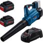 Combo Soprador de Folhas + Kit Com 2 Bateria 18V 8Ah +1 Carregador Bosch