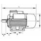 Motor Elétrico Lynus 2CV 127/220V Monofásico 3490RPM
