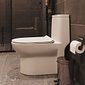Vaso Sanitário Monobloco Caixa Acoplada Branco Completo Manplex MP319