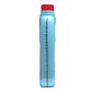CLORO ALGICIDAS CHOQUE HCL 01LT