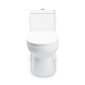 Vaso Sanitário Monobloco Caixa Acoplada Branco Completo Manplex MP319