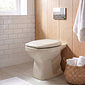 Kit Completo Vaso Thema Convencional Bege / Biscuit 57 Incepa