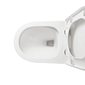 Vaso Sanitário Monobloco Caixa Acoplada Branco Completo Manplex MP319