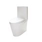 Vaso Sanitário Monobloco Branco Manplex Vaso Sanitário Monobloco Branco Manplex