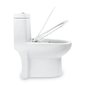 Vaso Sanitário Monobloco Caixa Acoplada Branco Completo Manplex MP319