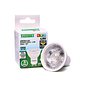 Lâmpada Led Dicroica MR16 4,9W 6500K Lâmpada Led Dicroica MR16 4,9W 6500K