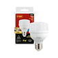 LAMPADA DIMERIZAVEL LED 9W T60 220V IP65 6500k LAMPADA DIMERIZAVEL LED 9W T60 220V IP65 6500k