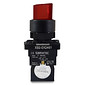 Chave Seletora Iluminada Vermelho 24V com 2 Posições 1NA Plástica 22mm - XB2-EK2461