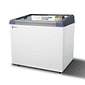 CONGELADOR EXPOSITOR 320 LITROS NEW SLIM 250 BIVOLT CINZA