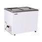 CONGELADOR EXPOSITOR 310 LITROS ECO 250 CINZA CONGELADOR EXPOSITOR 310 LITROS ECO 250 CINZA