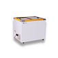 CONGELADOR EXPOSITOR 310 LITROS ECO 250 AMARELO CONGELADOR EXPOSITOR 310 LITROS ECO 250 AMARELO
