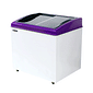 CONGELADOR FREEZER EXPOSITOR VITRINE SHOW SC 224 PURPURA CAP EQUIV 300 LT