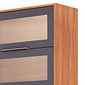 Armário Aéreo Esplendida Cristal 80 2 Portas 100% MDF MGM Móveis - Cina/Tit