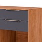 Balcão Esplêndida 120 2 Portas 2 Gavetas 100% MDF MGM Móveis - Cinamomo/Titanio
