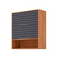 Armário Aéreo Esplendida 80 2 Portas 100% MDF MGM Móveis - Cina/Tit