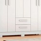 Guarda-Roupa Solteiro 6 Portas 2 Gavetas NT 6015 Notável - Branco/Rosa Flex Guarda-Roupa Solteiro 6 Portas 2 Gavetas NT 6015 Notável - Branco/Rosa Flex