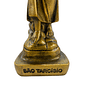 Imagem de São Tarcísio de Resina 20 cm