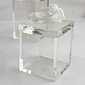 Mini Box c/ Pedra Cristal