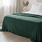 Manta Plush Queen Liso 220x240 Musgo
