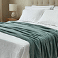 Manta Plush Casal Liso 180x200 Verde Manta Plush Casal Liso 180x200 Verde