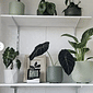 Mini Estante de Trilhos com Prateleiras MDF
