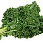 Couve Kale Verde