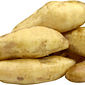 Batata Yacon ± 500 g - Terra